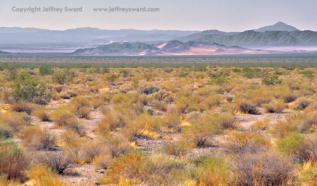 Mojave Desert, Renoville, California Photograph by Jeffrey Sward