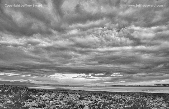 Mojave Desert, Renoville, California Photograph by Jeffrey Sward